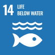 14 - Life below water