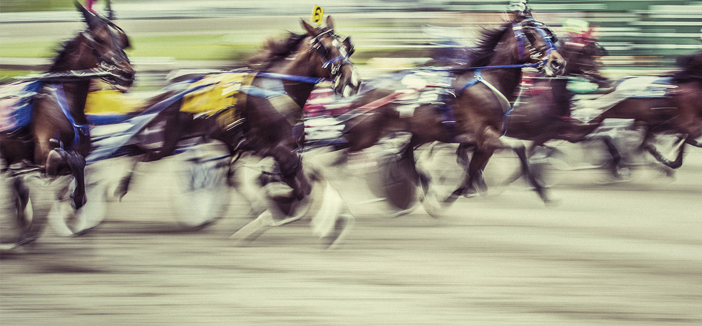 [Header] [About us] [Awards] Racehorses