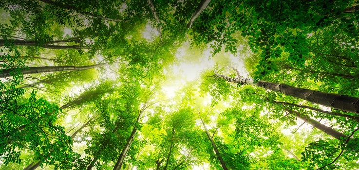 [Small Tile] [Funds Focus] [SRI] Socially Responsible Investment