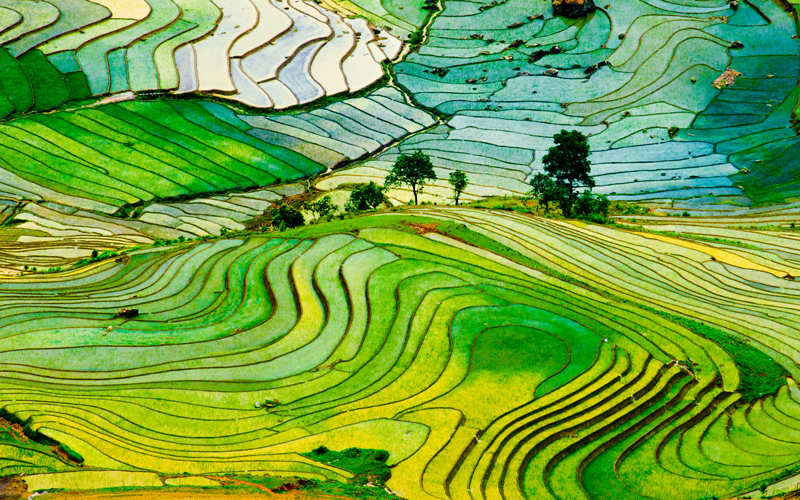 Ten things you should know about Carmignac P. Emerging Patrimoine