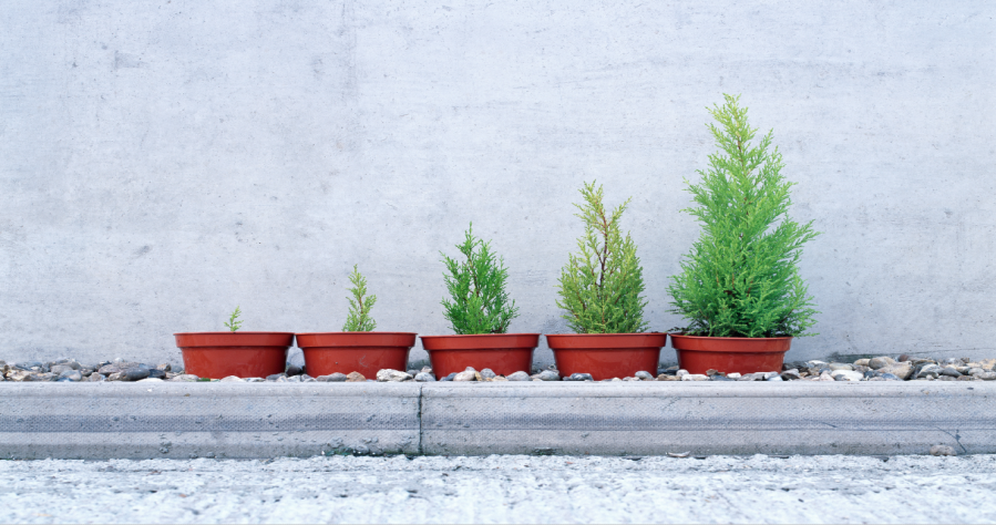 Carmignac Portfolio Grandchildren celebra il suo secondo anniversario